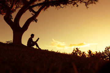 目前栽培的景天类花卉种类都有什么？