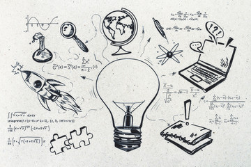 目前栽培的景天类花卉种类都有什么？