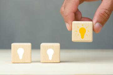 目前栽培的景天类花卉种类都有什么？