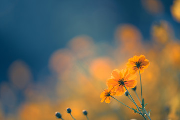 阜阳师范学院的日语系怎么样啊