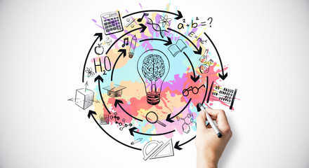 目前栽培的景天类花卉种类都有什么？