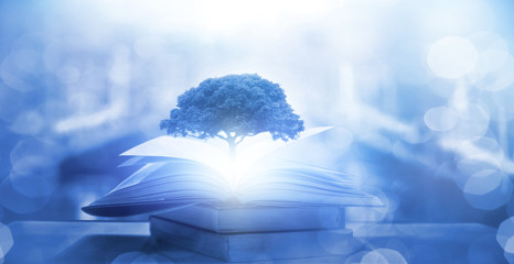 目前栽培的景天类花卉种类都有什么？