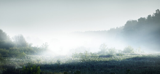 医疗器械龙头股排名