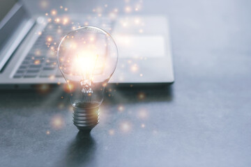 目前栽培的景天类花卉种类都有什么？