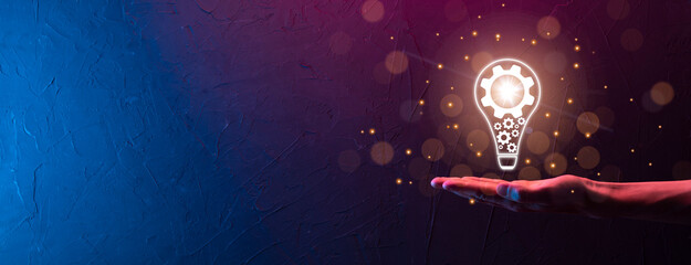 目前栽培的景天类花卉种类都有什么？