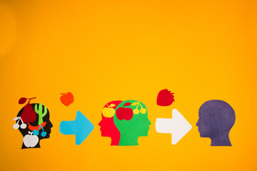 目前栽培的景天类花卉种类都有什么？