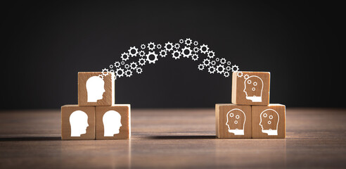 目前栽培的景天类花卉种类都有什么？