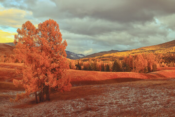 手机反应太慢了怎么解决