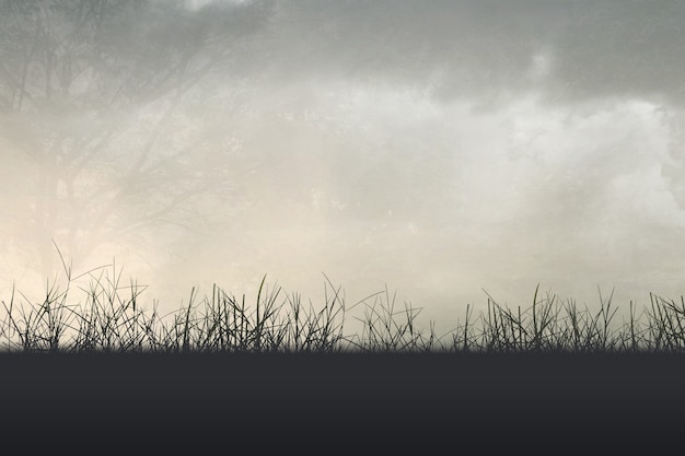 天津盛世华森艺人影视文化传媒有限公司怎么样？