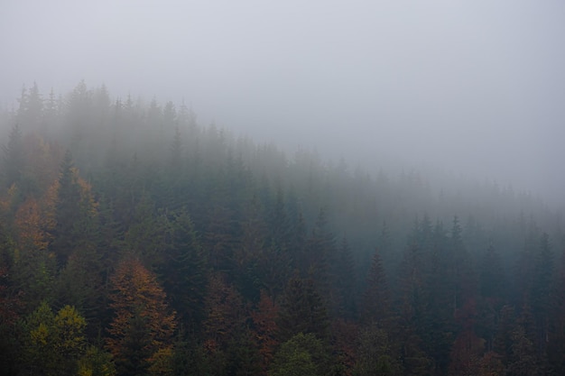 影视考研学校排名