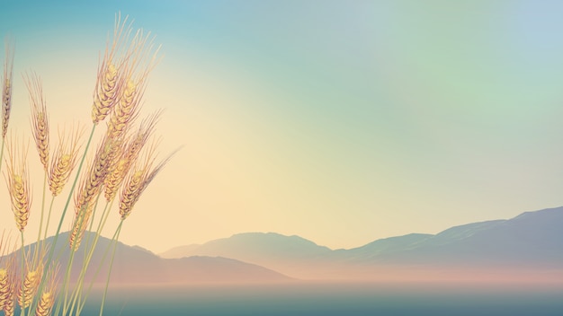 、为什么说旅游使人们产生了“空间距离”和“时间距离“,其依据是什么-