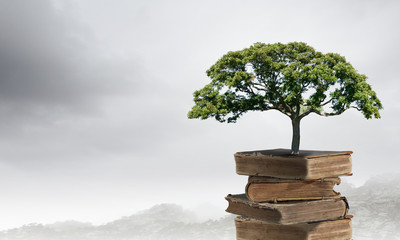 电脑无法进入桌面