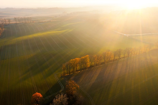 天津盛世华森艺人影视文化传媒有限公司怎么样？