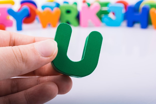 目前栽培的景天类花卉种类都有什么？