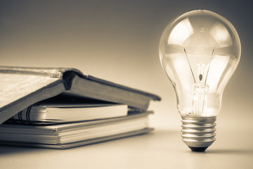 目前栽培的景天类花卉种类都有什么？