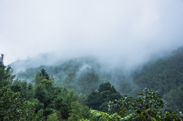 手机反应太慢了怎么解决